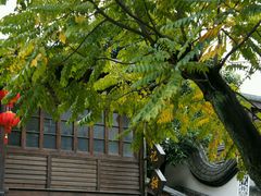 -星巴克(福州三坊七巷店)