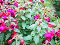 -南山小酒馆·江湖菜·夜宵(壹华里店)