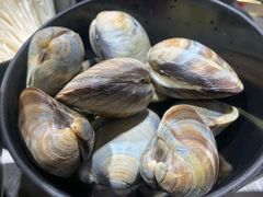 -水哥卜卜贝(东晓·胜汇里店)