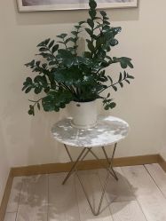 -智美品质医美