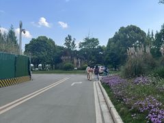 -白鹭湾湿地公园