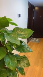 -久匠·野生眉半永久纹眉