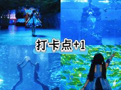 -南昌融创海世界