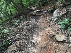 -九曜山