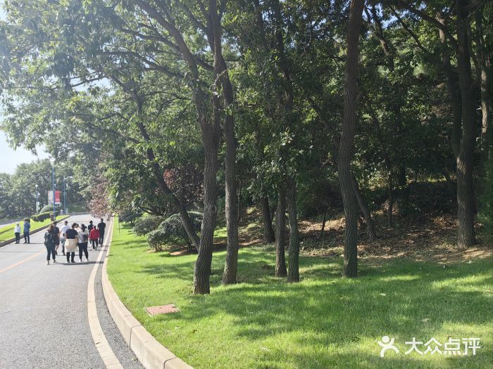 童牛岭风景区图片