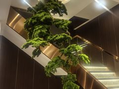 -正清和·推拿养生(二七广场店)