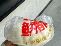 -不二心·鲜肉大包·海胆小笼汤包(二七广场店)