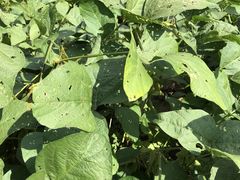 -营地公园·团建拓展·亲子户外(奉贤店)