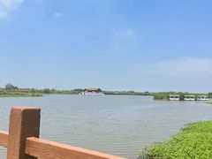 -宁波杭州湾国家湿地公园