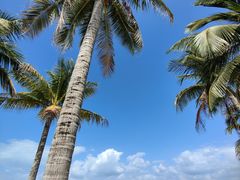 -三亚西岛海洋文化旅游区