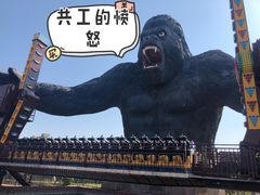 -太阳部落