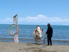 -青海湖国家重点风景名胜区