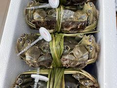 -祥鹤龙虾螃蟹