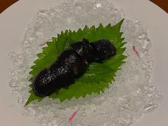 -觀芷隐轩