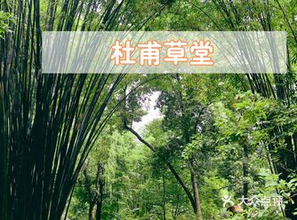 成都旅行｜打卡『杜甫草堂』.