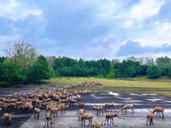 -溱湖国家湿地公园