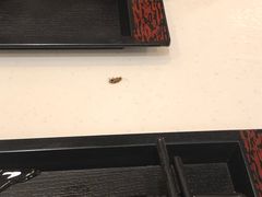 -永和大王(北京站内一店)