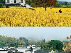 -塔川景区