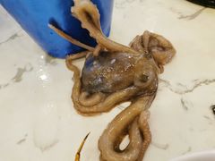 -澜悦港海鲜体验主题餐厅