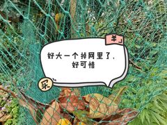 -东山风景区(洞庭东山)