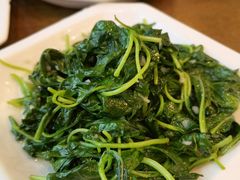 清炒马兰头-老马家·舌尖上的西塘美食