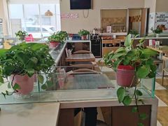 -嘉和一品粥(魏公村店)