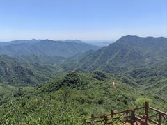 -大岭沟猕猴桃谷风景区