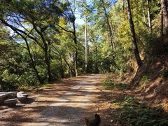 -三门江国家森林公园