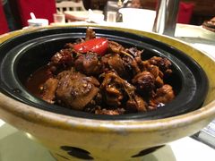 -向塘土鸡店(洪城店)