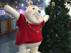 -世界之窗阿尔卑斯冰雪世界