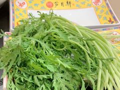 -芦月轩羊蝎子(北蜂窝店)