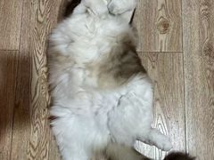 -白兔子密室(长寿路店)