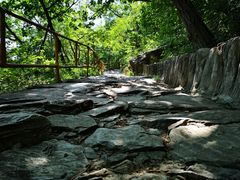 -北京上方山国家森林公园