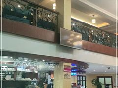 -OLD TREE老树咖啡·西餐厅(台山人工湖店)