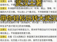 -大圣甲(汉口店)
