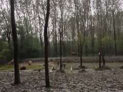 -溱湖国家湿地公园