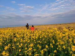-青海湖国家重点风景名胜区