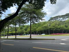 -维也纳酒店(深圳大学城店)