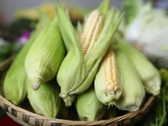 -亮欢寨酸汤鱼(沙冲路店)