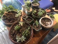 -SAH健身私教工作室(紫东店)