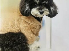 -瑞派蒂凯宠物医院·免疫点·宠保定点