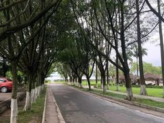 -西昌邛海宾馆