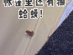 -前小桔亲子创意农场·草莓采摘·露营烧烤
