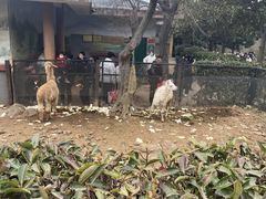 -无锡动物园·太湖欢乐园