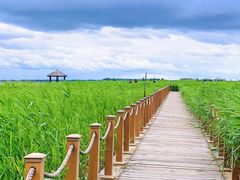 -黑龙江扎龙生态旅游区