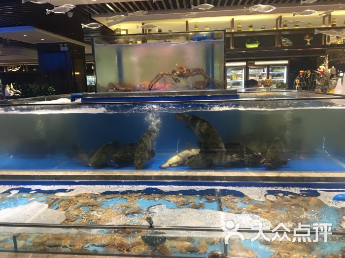 观宴·海鲜美学主题自助餐厅--环境图片-天津美食-大众点评网
