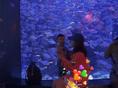 -成都浩海立方海洋公园