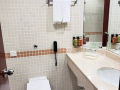 -新加坡雅庭假日酒店