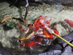 -苏州海洋馆