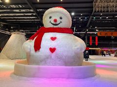 -宁波冰雪大世界(北仑区)